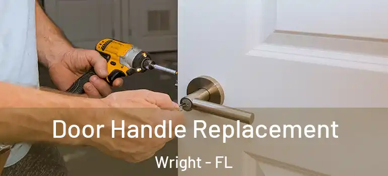 Door Handle Replacement Wright - FL