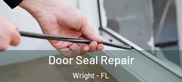 Door Seal Repair Wright - FL