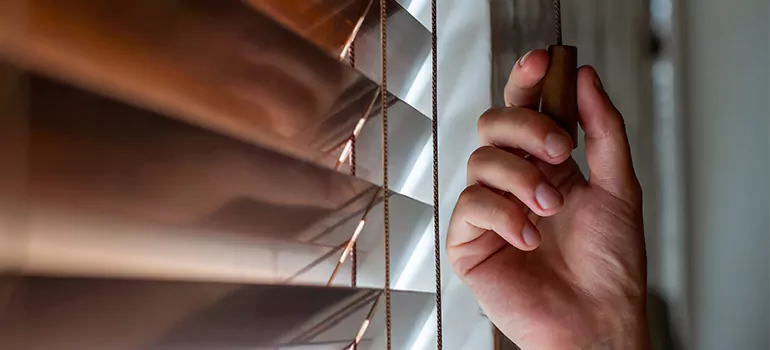 Double Roller Blinds in Wright, FL