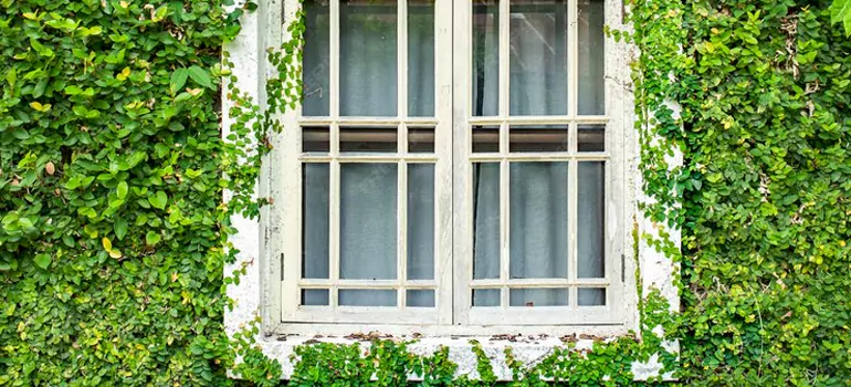 Garden Window Repair Near Me in Wright, FL