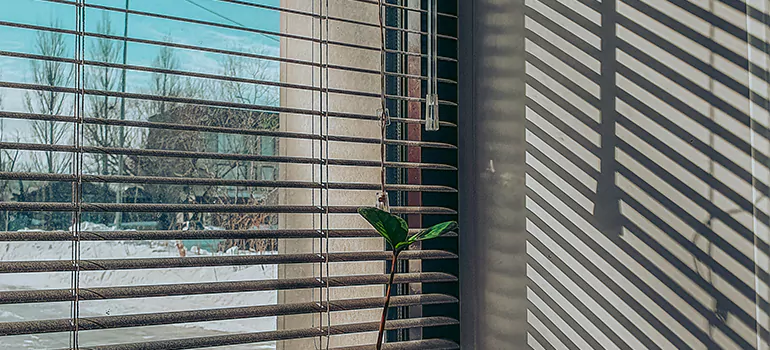 Commercial Window Blinds in Wright, FL