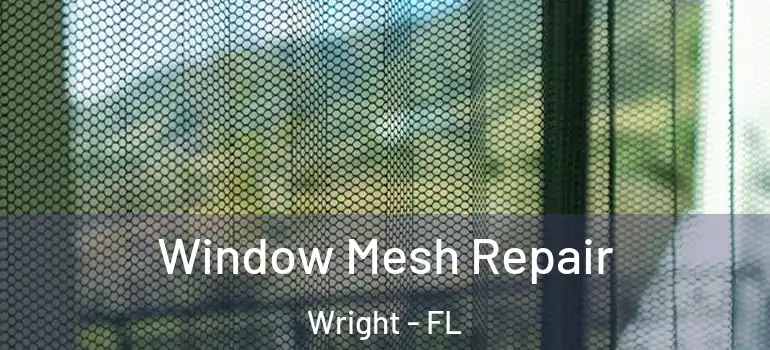 Window Mesh Repair Wright - FL