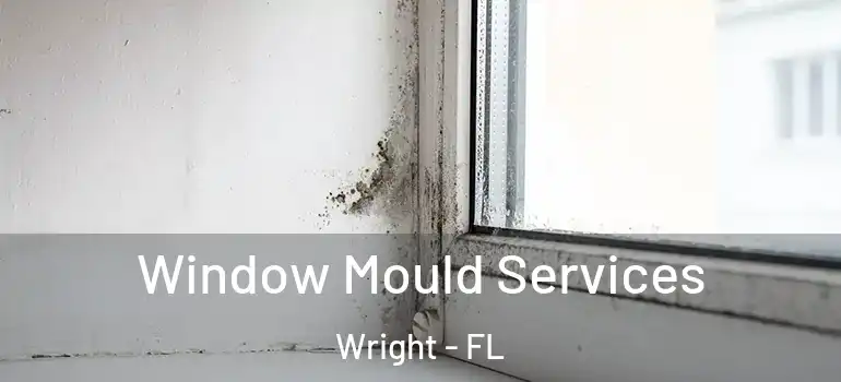 Window Mould Services Wright - FL